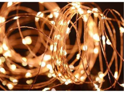 iWin 20 LEDs 1.98 m Gold Steady String Rice Lights(Pack of 1)