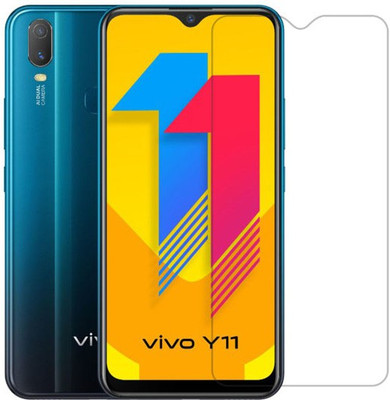 raxxy Screen Guard for Vivo Y11(Pack of 1)
