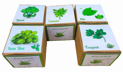 VibeX ™ VXI-183-Plants From Seed - Grow Your Own 5-Herbs Kit Seed(30 per packet)