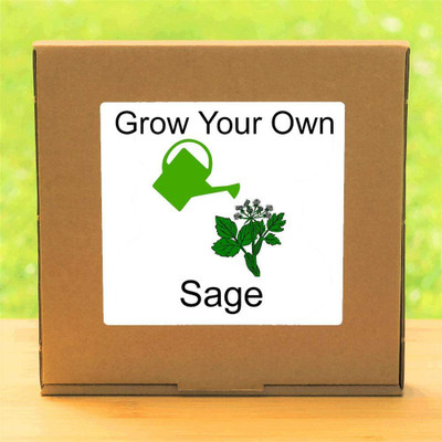 VibeX ® LXI-72-Sage – Indoor Herbs Growing Kit Seed(30 per packet)