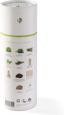 VibeX ™ XXX-241-Grow Your Zesty Herb Kit Seed(30 per packet)
