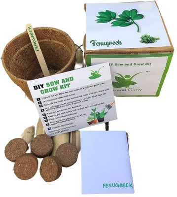 VibeX ® MXI-188-Grow Your Own Fenugreek Seed(30 per packet)