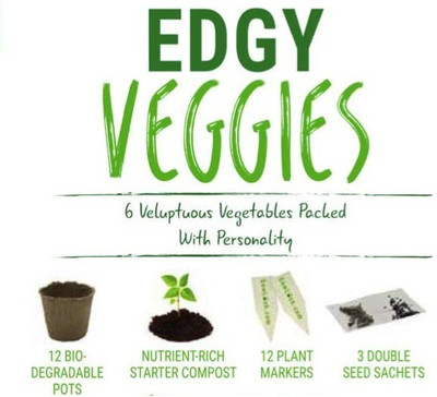 VibeX ™ LXI-275-Vegetable Plant Kit for Gifting Seed(30 per packet)