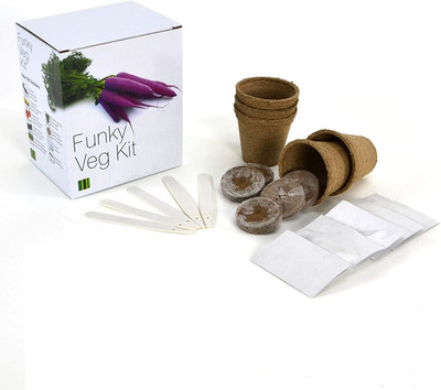 VibeX ® VXI-288-Funky Vegetable Grow Your Own Kit Seed(30 per packet)