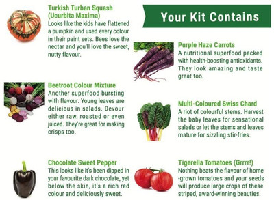 VibeX ® VXI-274-Grow Your Own Vegetable Plant Kit for Gifting Seed(30 per packet)