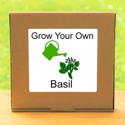 VibeX ™ LXI-107-Basil – Indoor Herbs Growing Kit Seed(30 per packet)