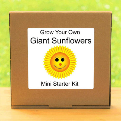 VibeX ™ XII-133-Sunflower Plant Kit Seed(30 per packet)