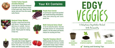 VibeX ® RPG-158-Veg Kit – 5 Extraordinary Vegetables to Grow Seed(30 per packet)