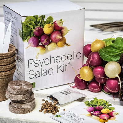 VibeX ™ MXI-293-All In One Psychedelic Saled Growing Kit Seed(30 per packet)