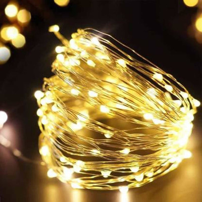 iWin 20 LEDs 1.99 m Gold Steady String Rice Lights(Pack of 1)