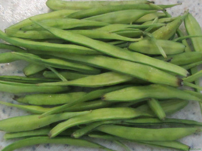 sporos Cluster Beans Seed(25 per packet)