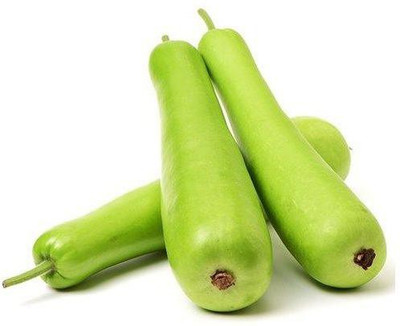 modernseed Bottle Gourd Seed(51 per packet)