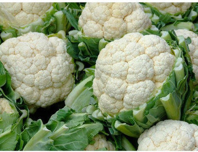 Farmonix Organic white cauliflowe फूल गोभी Seed(200 per packet)