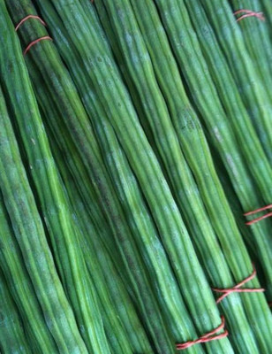 sporos Drumsticks Seed(25 per packet)