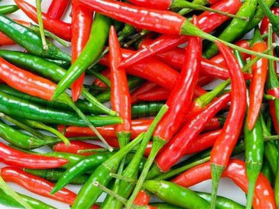 sporos GREEN CHILLI Seed(25 per packet)