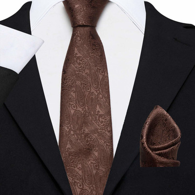 AXLON Satin Tie Pin Set(Brown)