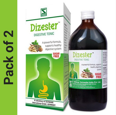 Dr.Willmar Schwabe India Dizester Syrup(2 x 500)