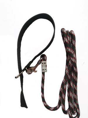 havish Dog Collar & Leash(Medium, Multicolor)
