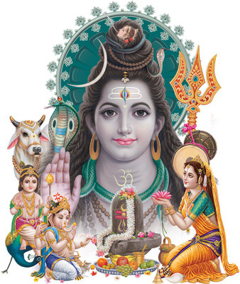 Flipkart SmartBuy 58 cm Transparent Art 417 Self Adhesive Sticker(Pack of 1)