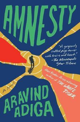 Amnesty(English, Paperback, Adiga Aravind)