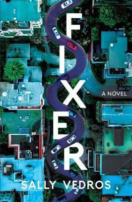 Fixer(English, Paperback, Vedros Sally)