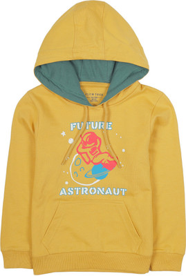 Plum Tree Full Sleeve Printed Boys Sweatshirt