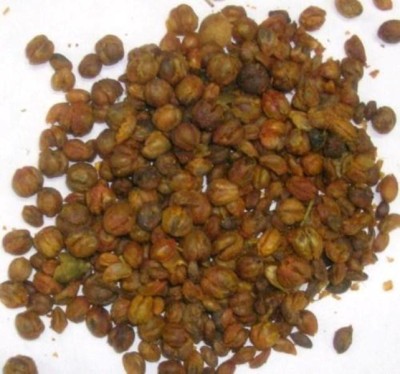 Pioneer Natural Celastrus paniculatus, Jyotishmati, Malkangani Seed(5000 per packet)