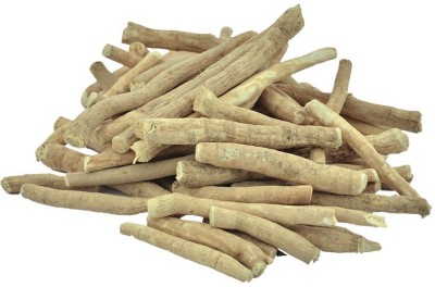 Pioneer Natural Withania somnifera, Asgandh, Asvagandha, Aswagandha, Ashwagandha, Winter Cherry, Indian Ginseng WILD (FOREST) Variety Seed(1000 per packet)