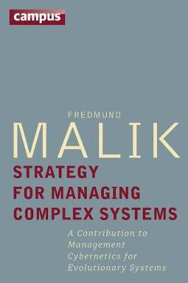 Strategy for Managing Complex Systems(English, Hardcover, Malik Fredmund)