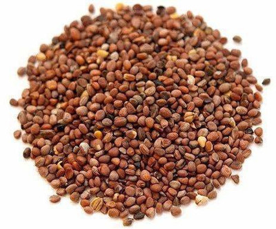Corofitam Radish Seed(100 per packet)