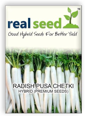 Qualtivate ™ Radish F1 Hybrid Imported Vegetable Seeds-500 Seed Seed(500 per packet)