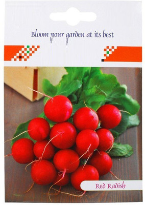 VibeX Radish Seeds Seed(175 per packet)