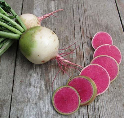 VibeX HAU-674 RADISH GREEN ROUND SEEDS Seed(80 per packet)