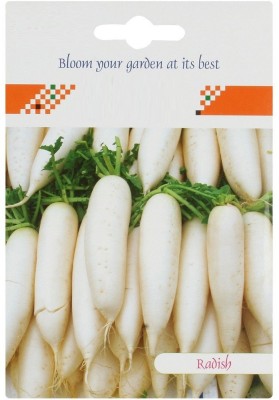 VibeX LXI-272 Long Radish Seeds (White) Seed(50 per packet)