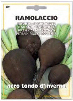 VibeX ™ LXI-140 Radish Seeds Black Nero Tonda d'inverno Seed(900 per packet)