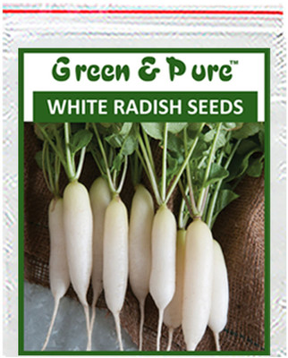 VibeX ™ RDX-346 Pure - High Yield Organic Vegetable Seeds - White Radish Seed(175 per packet)