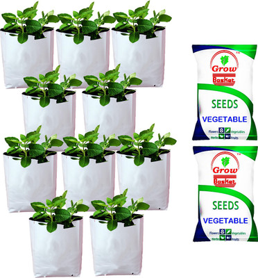 Grow Basket 2 Organic Vegetables Seeds Packet with 10 Grow Bag Size: 40 x 24 x 24cm Seed(20 per packet)