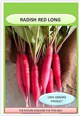 TRICONE Radish Seed(150 per packet)