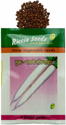 VibeX Radish Seeds Seed(200 per packet)