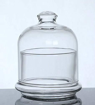 DESHILP Glass Pickle Jar  - 200 ml(Clear)