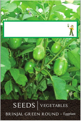 Qualtivate Brinjal Seed(100 per packet)
