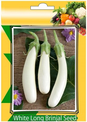 VibeX ® LXI-290-White Long Brinjal Vegetables Seeds Seed(900 per packet)