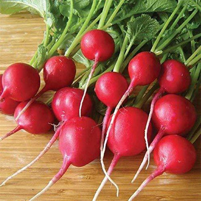 VibeX ™ VXI-502 Radish Red Round Vegetable Seeds Seed(50 per packet)