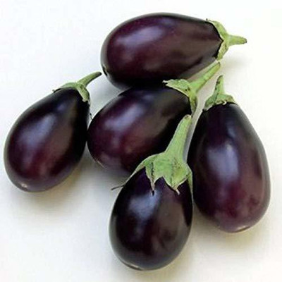 Qualtivate ™ F1 Hybrid Vegetable Brinjal Small Chu Chu Seed(100 per packet)