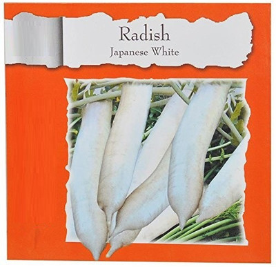 ActrovaX Japanese White-VR867 Radish [2000 Seeds] Seed(2000 per packet)