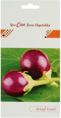 VibeX ® KGF-336-Round Brinjal Seeds Seed(150 per packet)