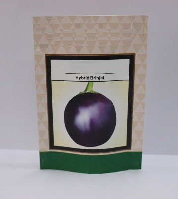 ActrovaX Fast Grow Certified Brinjal Seed [5gm Seeds] Seed(5 g)