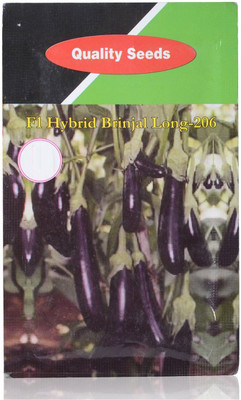 VibeX ® VXI-872-F1 Hybrid Brinjal Long Seed Seed(50 per packet)