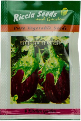 VibeX ™ AFC-689-Brinjal (Eggplant/Vangi) - Puneri Kateri - Non-GMO Vegetable Seeds Seed(250 per packet)