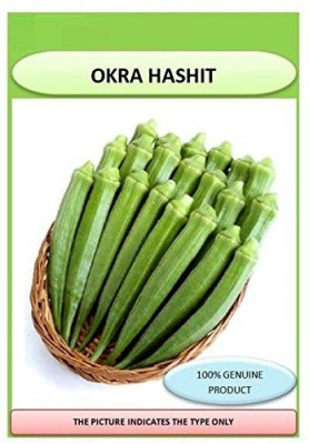 ActrovaX Hybrid Lady Finger / Bhindi F1 [100gm Seeds] Seed(100 g)